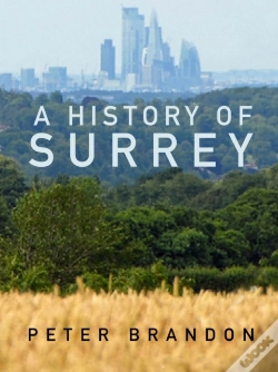 Capa do artigo A History Of Surrey