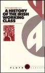 A History Of The Irish Working Class - Preview