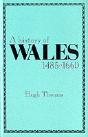 A History Of Wales, 1485-1660 - Preview