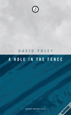 Capa do artigo A Hole In The Fence