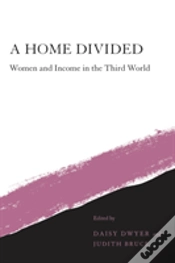 Capa do artigo A Home Divided