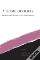 A Home Divided
