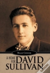 Capa do artigo A Home For David Sullivan