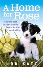 Capa do artigo A Home For Rose