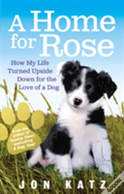 Capa do artigo A Home For Rose