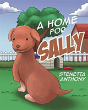A Home For Sally - Preview