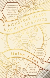 Capa do artigo A Honeybee Heart Has Five Openings