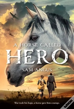 Capa do artigo A Horse Called Hero