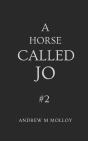 A Horse Called Jo - Preview