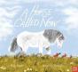 A Horse Called Now - Preview