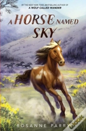 Capa do artigo A Horse Named Sky