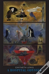 Capa do artigo A Hospital Odyssey