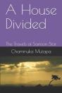 A House Divided - Preview