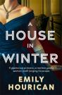 A House In Winter - Preview