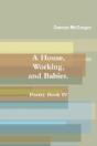 A House, Working, And Babies, Poetry Book Iv, Damon Mcgregor - Preview