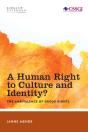 A Human Right To Culture And Identity - Preview