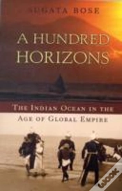 Capa do artigo A Hundred Horizons