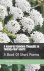 A Hundred Random Thoughts In Twenty-Four Hours - Preview