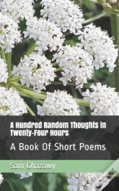 A Hundred Random Thoughts In Twenty-Four Hours