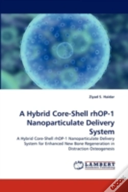 Capa do artigo A Hybrid Core-Shell Rhop-1 Nanoparticulate Delivery System
