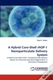 A Hybrid Core-Shell Rhop-1 Nanoparticulate Delivery System