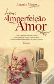 Capa do artigo A Imperfeição do Amor