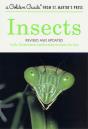A Insects - Preview
