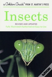 Capa do artigo A Insects