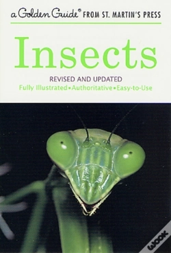Capa do artigo A Insects