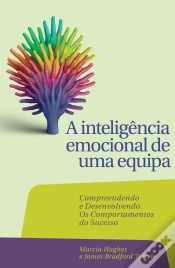 Capa do artigo A Inteligência Emocional de Uma Equipa