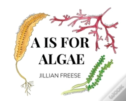 Capa do artigo A Is For Algae