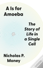 Capa do artigo A Is For Amoeba