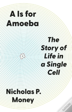 Capa do artigo A Is For Amoeba
