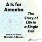 A Is For Amoeba - Preview