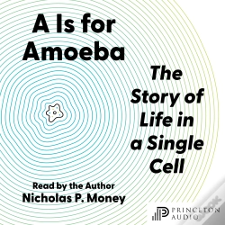 Capa do artigo A Is For Amoeba