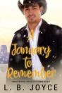 A January To Remember - Preview