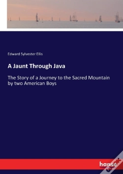Capa do artigo A Jaunt Through Java