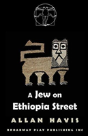 A Jew On Ethiopia Street - Preview