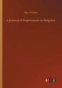 A Journal Of Impressions In Belgium - Preview
