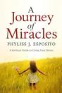 A Journey Of Miracles - Preview