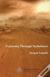 Capa do artigo A Journey Through Turbulence
