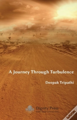 Capa do artigo A Journey Through Turbulence