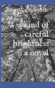 A Kind Of Careful Brightness