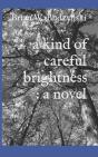 A Kind Of Careful Brightness - Preview