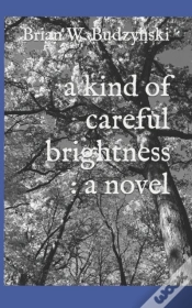 Capa do artigo A Kind Of Careful Brightness