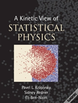 Capa do artigo A Kinetic View Of Statistical Physics