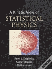 Capa do artigo A Kinetic View Of Statistical Physics