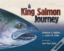 A King Salmon Journey
