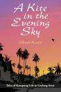A Kite In The Evening Sky - Preview