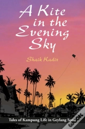 Capa do artigo A Kite In The Evening Sky